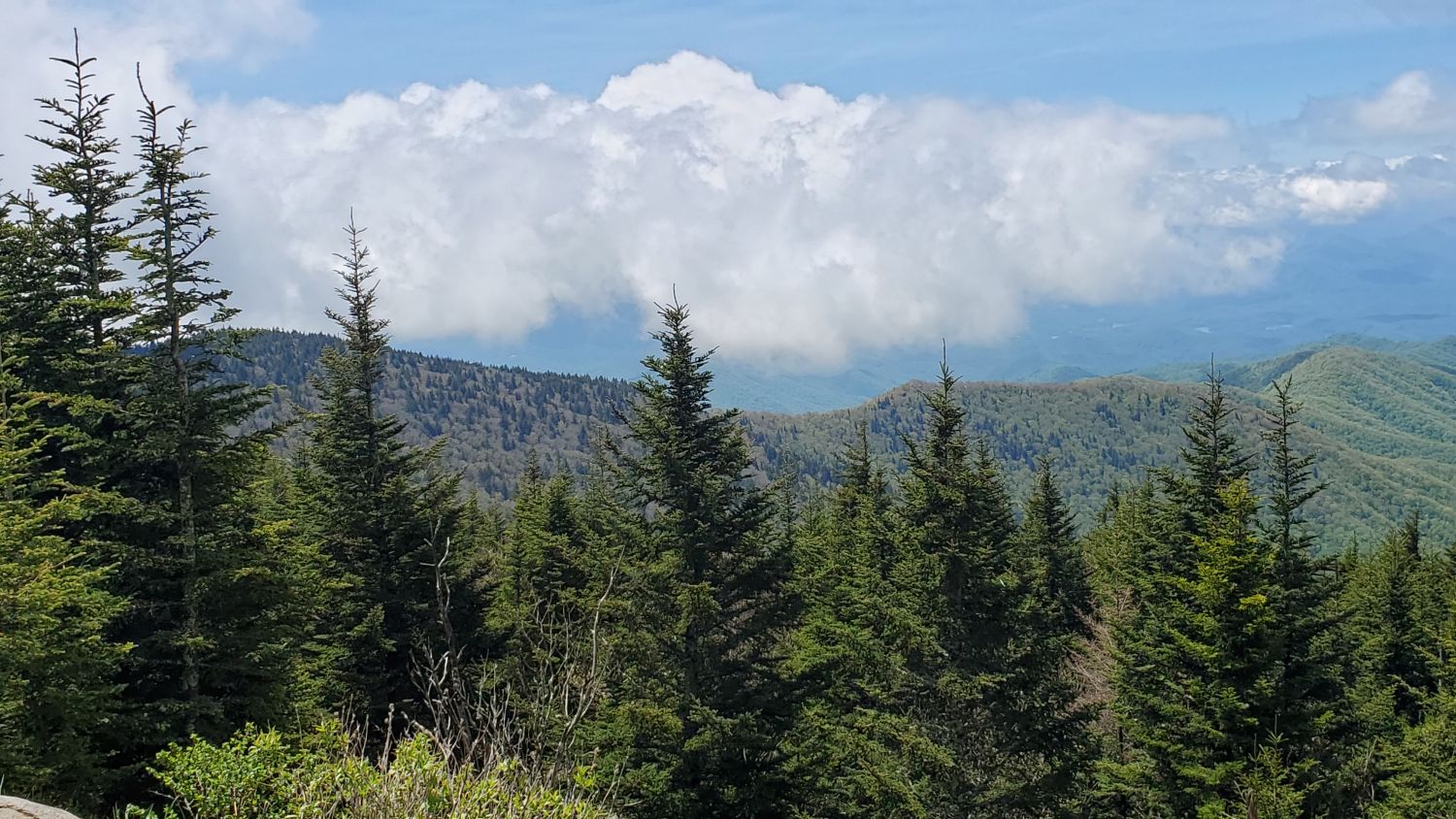 Clingmans's Dome Parking Lot 